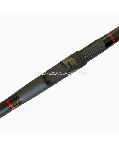 Canna Artico Galattica