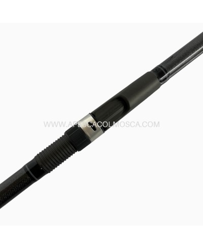 Canna Italcanna Greystone