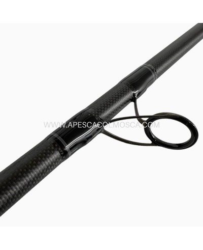 Canna Italcanna Greystone