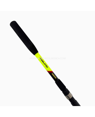 Canna Kolpo Maxima Bolentino