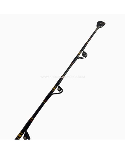 Canna usata Penn International II