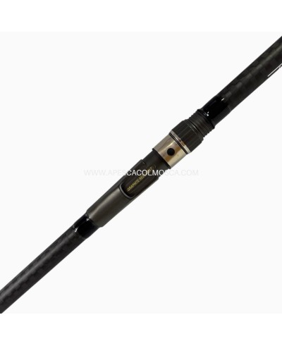 Canna Bad Bass Celebration Squared