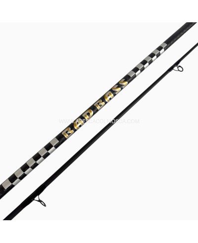 Canna Bad Bass Celebration Squared