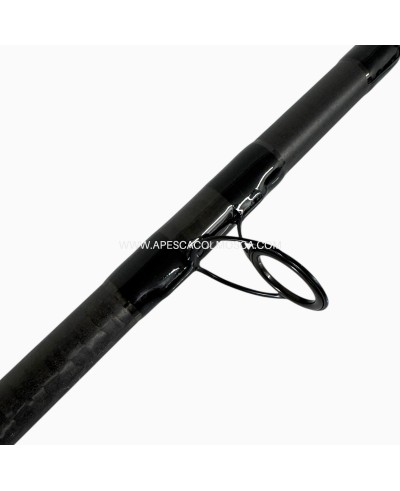 Canna Bad Bass Celebration Squared