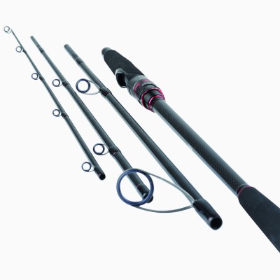 Canna Daiwa Freams Evolution