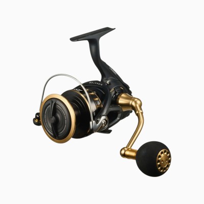 Mulinello Daiwa 23 BG SW