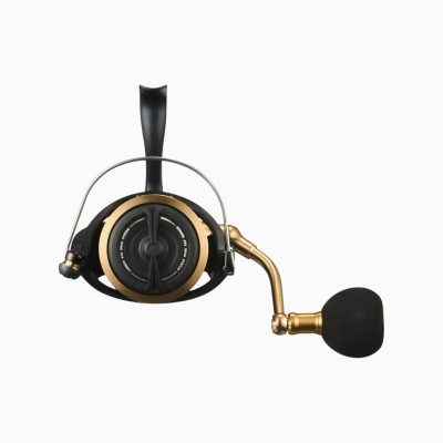 Mulinello Daiwa 23 BG SW