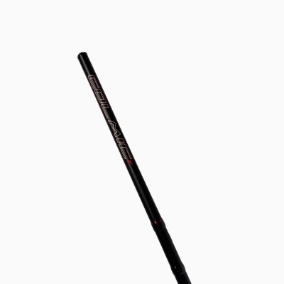 Canna usata Colmic Fiume WR T6000 - 6M/20G