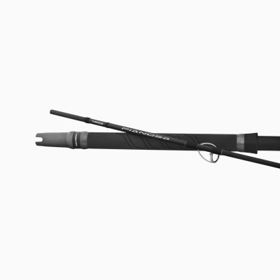 Canna Tubertini Pianosa