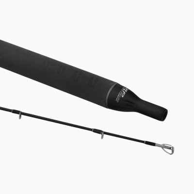 Canna Tubertini Pianosa