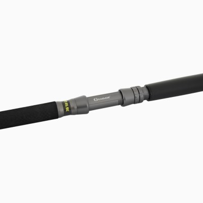 Canna Tubertini Stunner