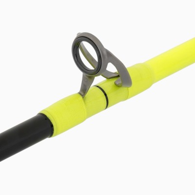 Canna Tubertini Stunner