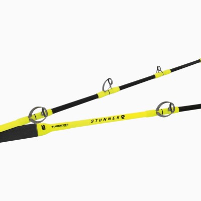 Canna Tubertini Stunner