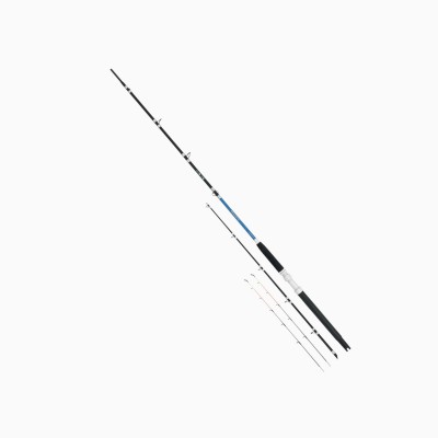 Canna Tubertini Gorgona