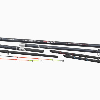 Canna Tubertini Genetic Hero