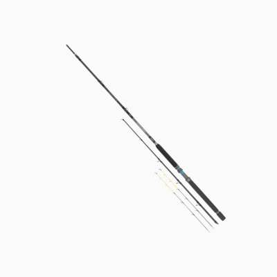 Canna Tubertini Meloria