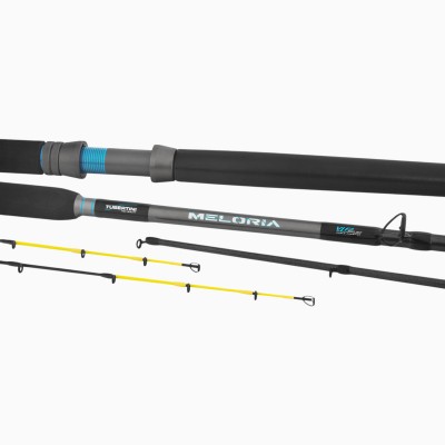 Canna Tubertini Meloria