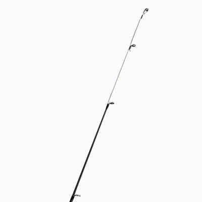 Canna usata Tubertini Akemi