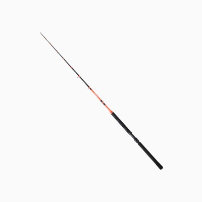 Canna Sunset Pilar TS