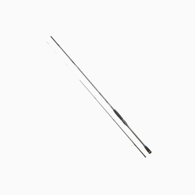 Canna Sunset Prince SW Eging