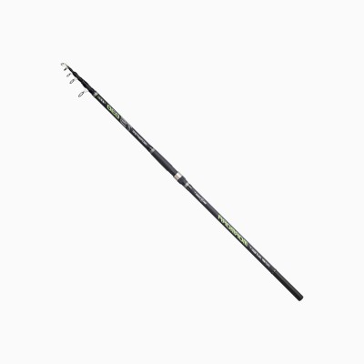 Canna Sunset Mormora TS 030 4006