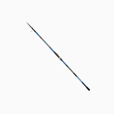 Canna Italcanna Coguaro