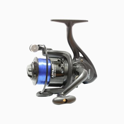 Kolpo mulinello Arya