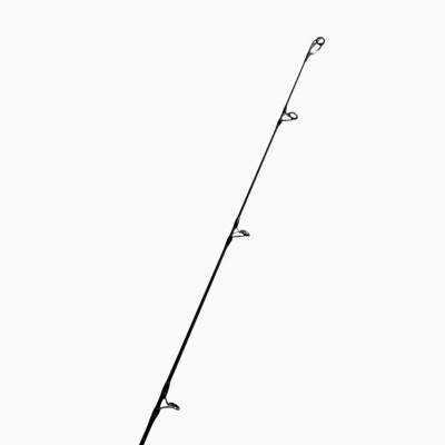 Canna usata Yuki Saiko DSC Light