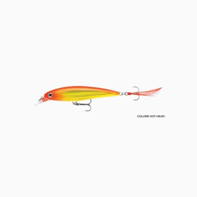 A pesca col mosca Jerkbait Rapala X-Rap 8 Cm