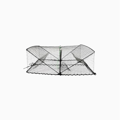 Ragot Nassa Fish Net