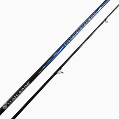 Canna usata Italcanna Sparviero LGT 4.35M-75/125G