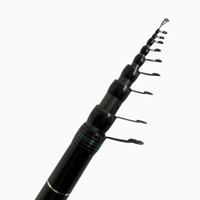 Canna Daiwa Amorphous Bolo Regular AVR70BI Montata