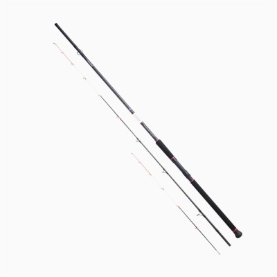 Canna Sunset Dorada Powersense