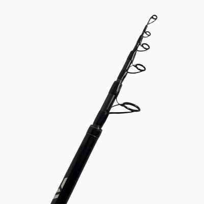 Canna usata Daiwa Tournament Pro Surf  '2'